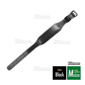 teBOxg 11.5cm TCY 120 ؃g EGCgg[jO U[ v o[x g[jO xg  T|[^[ 