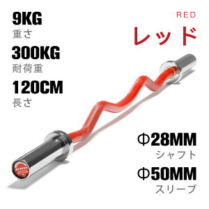 ダンベル バーベル イージーバー」の人気商品一覧 | 安い商品を通販 