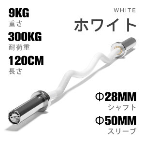 �y�C���t���G���T�[��p10%OFF�zRITFIT �I�����s�b�NW�o�[ ez�o�[ EZ�J�[���o�[ �I�����s�b�N�o�[�x�� �a50mm �V���t�g28mm �A�[���J�[���o�[ �C�[�W�[�o�[ ���Z�Ή� ����₷�� �I�����s�b�N�V��