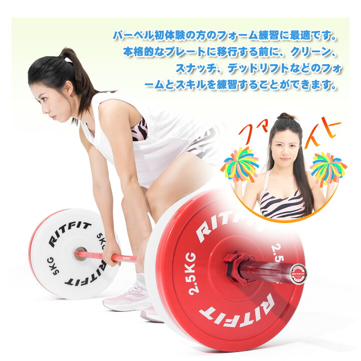 楽天市場】RITFIT PEテックニックプレート テクニカルプレート 
