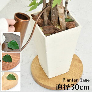 v^[X^h LX^[ a30cm [ ԑ LX^[t  ϗtA ϗtA  LX^[ u v^[u  Aؔ ؖڒ ~`  v^[x[X LX^