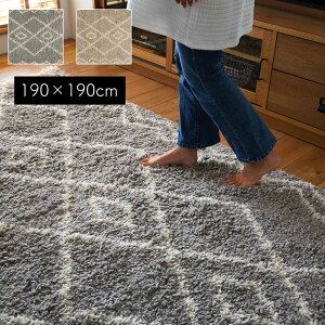 ���O ������� 2�� 190×190cm [ ���O�}�b�g �I�[���V�[�Y�� �ё� ���� �{�����[�� ���� �J�[�y�b�g ���g�[�Ή� �z�b�g�J�[�y�b�g�Ή� �ӂ�ӂ� 2���p �O�~ ���イ���� ���O�J�[�y�b�g �J�[�y�b