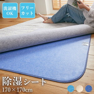 Ỏ V[g 170×170cm 2 [ O C  􂦂 J[ybg   V[g J[ybg̉ɕ~ Ỏɕ~ }bg ~ t[O  }bg O  