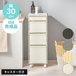 h[`FXg 30cm s40 [ Vt LX^[t ʏ [ 30cm Eߏ Lb`  ʏ[bN o 30Z` 30cm I Eߏ[bN Lb`[ S