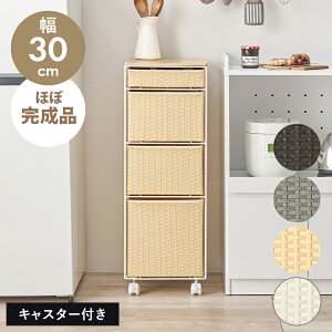 h[`FXg 30cm s40 [ Vt LX^[t ʏ [ 30cm Eߏ Lb`  ʏ[bN o 30Z` 30cm I Eߏ[bN Lb`[ S