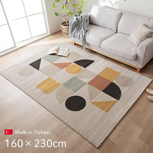 EBgDO 160×230cm [ O O}bg   I[V[Y EBgJ[ybg OJ[ybg Ng ~߂Ȃ J[ybg AC{[ zbgJ[ybg