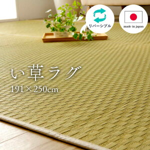�������O ���\��Ȃ� 191×250cm 3�� [ ���������O �����J�[�y�b�g ������� ���{�� ���O �ėp ���O�}�b�g �ėp���O �ėp�J�[�y�b�g �䑐���O �R���p�N�g ���� ���o�[�V�u�� �䑐�J�[�y�b�g �ėp