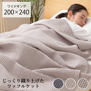 ブランケット 大判 毛布 タオルケット 通販 価格比較 価格 Com