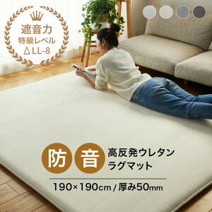 O   h 50mm 190×190cm [ ɌO 5cm  J[ybg O}bg 胉O   胉O}bg I[V[Y ` O}bg q  hO ё