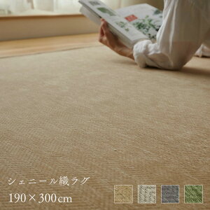 O VFj[ 190×300cm [ O}bg J[ybg   ~ߕt g[Ή zbgJ[ybgΉ I[V[Y  ` 唻 傫 x[W O[W O[ O