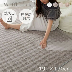 ラグ 冬用ラグ 洗える 冬 ふわふわ 190×190cm 2畳 [ ラグマット カーペット おしゃれ 冬用 ホットカーペット対応 床暖房対応 滑り止め付き 洗えるラグ 正方形 リビング 冬用カーペット ふわふわ