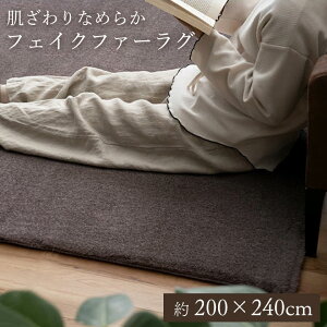 O ӂӂ tFCNt@[ 200×240 cm 3 [ O}bg ~pO ~p H~ J[ybg g[Ή zbgJ[ybgΉ  rO uE x[W  ӂӂ ~pJ