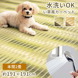 J[ybg { 2 191×191cm [  O ppO  ~  􂦂  ėpO ėpJ[ybg a J[ybg ~ ybg ی?ppJ[ybg pp Ԃ ̏