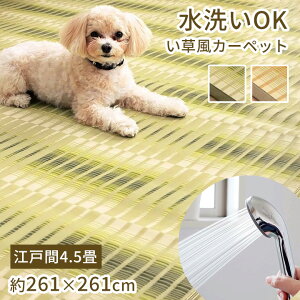 J[ybg ]ˊ 4.5 261×261cm [  O ppO  ~  􂦂  a J[ybg ~ ybg ی ~l ėpJ[ybg ppJ[ybg pp Ԃ ̏