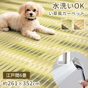 J[ybg ]ˊ 6 261×352cm [  O ppO ~6 ]ˊ6  ~  􂦂  a J[ybg ~ ybg ی ~l ppJ[ybg pp ̏ɕ~