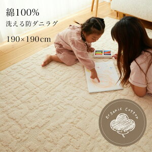 O J[ybg 100 􂦂 190×190cm [  O}bg 􂦂郉O I[V[Y h_j ~߂Ȃ rO q Ԃ I[KjbNRbg O~ @Ő􂦂 