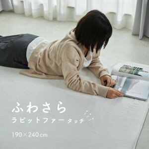 O ӂӂ 190×240cm 3 [ O}bg J[ybg  ~ߕt g[Ή zbgJ[ybgΉ ~ H~ ~p ~pO ` O3p E^  ӂӂ탉O ёZ 