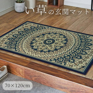 ���� ���փ}�b�g ���� 70×120cm [ ������� �ėp ���� ����~�ߕt�� ���� �}�b�g ������ ���� �������փ}�b�g ��i ������ �G���K���g �傫�� �傫�� ����120×70 �唻 ��������~�ߕt�� ]