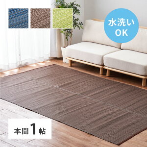 J[ybg {1 95.5×191cm [  ppO J[ybg ~ O 􂦂 rj[  ̏ɕ~ 䑐 ̏ɕ~J[ybg ~  pp ی  
