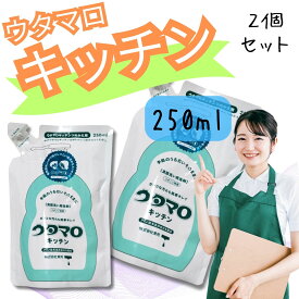 ウタマロ キッチン 食器用洗剤 詰め替え 250ml 詰替 交換 ウタマロ液 きっちん 台所 1000円ポッキリ 送料無料 【2個セット】