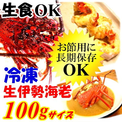 【楽天市場】冷凍 生伊勢海老 生食可【100gサイズ×1尾】 おせち料理、お味噌汁、お刺身でも♪漁師直送 律丸 伊勢海老/伊勢エビ/イセエビ