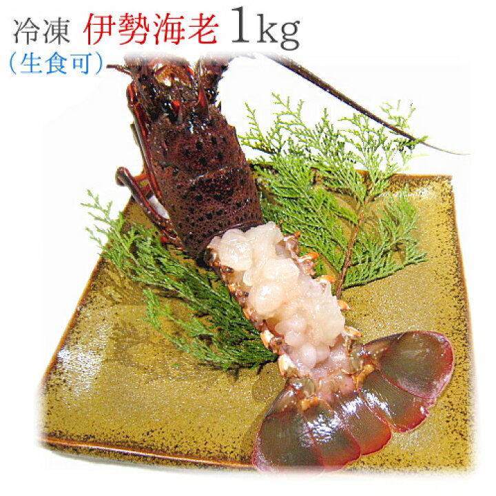 楽天市場 土日祝日も営業 御歳暮に 三重県産 冷凍 生伊勢海老 1kg お刺身ｏｋ 漁師直送 律丸 伊勢エビ イセエビ 伊勢えび 楽ギフ メッセ入力 律丸 りつまる