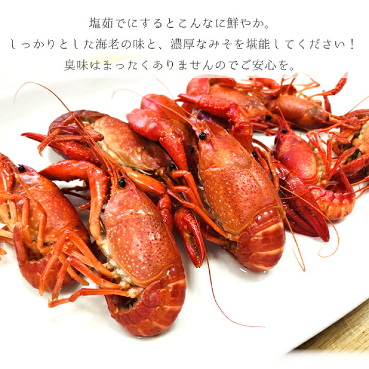 楽天市場 土日祝日も営業 食用 アメリカザリガニ 0g入り 冷凍 三重県産 漁師直送 律丸 律丸 りつまる 楽天市場 土日祝日も営業 食用 アメリカザリガニ 0g入り 冷凍 三重県産 漁師直送 律丸 律丸 りつまる