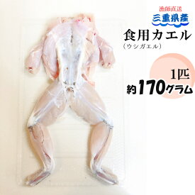 楽天市場 食用カエルの通販