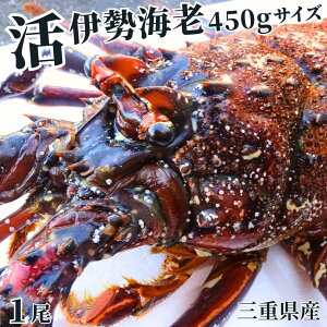 yyjzpɁAOdYɐCVy450gx×1zt ہ@ɐGr/CZGr/ɐ/Ε