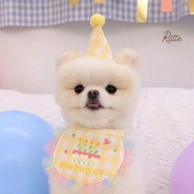 バースデースタイ&パーティハット ドッグウェア 犬服 犬 小型犬 猫 誕生日 バースデー スタイ よだれかけ パーティー 帽子 かわいい おしゃれ お祝い 記念日 飾り 送料無料
