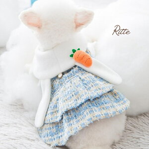 cC[hs[X hbOEFA   L  s[X  e  cC[h ɂ񂶂 KN N  킢  U o 