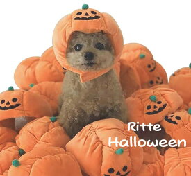 【Ritte】 ハロウィン 被り物 かぼちゃ 犬 小型犬 猫 服 Halloween カボチャ パンプキン コスプレ 仮装 かわいい おしゃれ パーティ マジックテープ 送料無料 リッテ