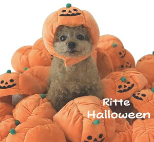 yRittez nEB 蕨 ڂ  ^ L  Halloween J{` pvL RXv  킢  p[eB }WbNe[v  be
