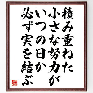 名言「積み重ねた小さな努力が、いつの日か必ず実を結ぶ」手書き書道色紙額/受注後の毛筆直筆(小さな成功 成長の過程 継続は力なり 努力の結果 目標達成 自己成長 モチベーション 未来