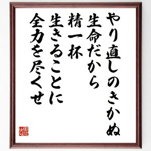 名言「やり直しのきかぬ生命だから、精一杯生きることに全力を尽くせ」手書き書道色紙額/受注後の毛筆直筆(人生の価値 全力投球 自己実現 大山倍達の教え 時間の大切さ 挑戦する姿勢