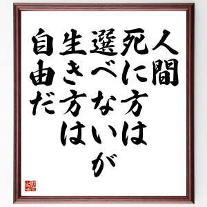 名言「人間死に方は選べないが、生き方は自由だ」手書き書道色紙額/受注後の毛筆直筆(生き方 自由 選択 人生観 価値観 運命 自己決定 生きる意味 哲学 人生の選択 名言 格言 座右の銘 プ