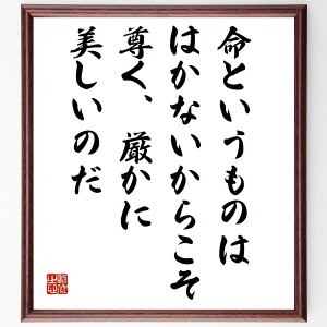 g[}XE}̖uƂ̂́A͂Ȃ炱AAɔ̂v菑Fz^󒍌̖ѕMMȋ g[}XE} l̈Ӗ Nw  ͂Ȃ 