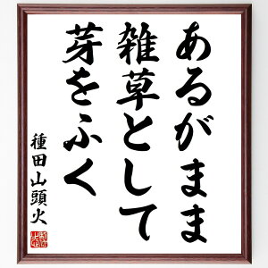 cR΂̖u邪܂܎GƂĉӂv菑Fz^󒍌̖ѕMM@i R Ȏe {w   l̋P Nw cR  i E̖ v