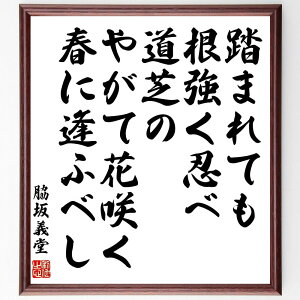 e`̖u܂ĂEדł̂₪ĉԍ炭tɈӃxv菑Fz^󒍌̖ѕMMie`  E  t ]  l̋P w  e` 