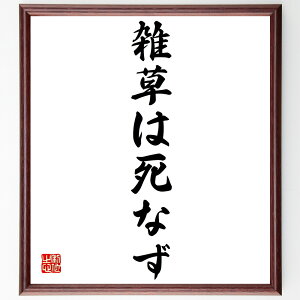 uG͎Ȃv菑Fz^󒍌̖ѕMMiG   t   P w E   i E̖ v[g 蕨 j ̐l ObY Sɋ Z