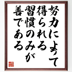 イマヌエル・カントの名言「努力によって得られる習慣のみが善である」手書き書道色紙額/受注後の毛筆直筆(カント 名言 努力 習慣 倫理 哲学 自己改善 善悪 行動 価値観 イマヌエル・カ