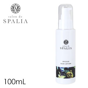 э  wA[V yXpA XsL[wA[V 100mlz yyΉzLsLV qgזE ERזE n RV XJv SPALIA