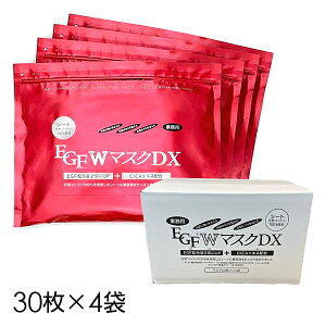 tFCX}XN eʁyzyƖpEGF W}XNDX 120P(30×4)zpbN VRRbg  L XLPA   GXe Ɩp CICA