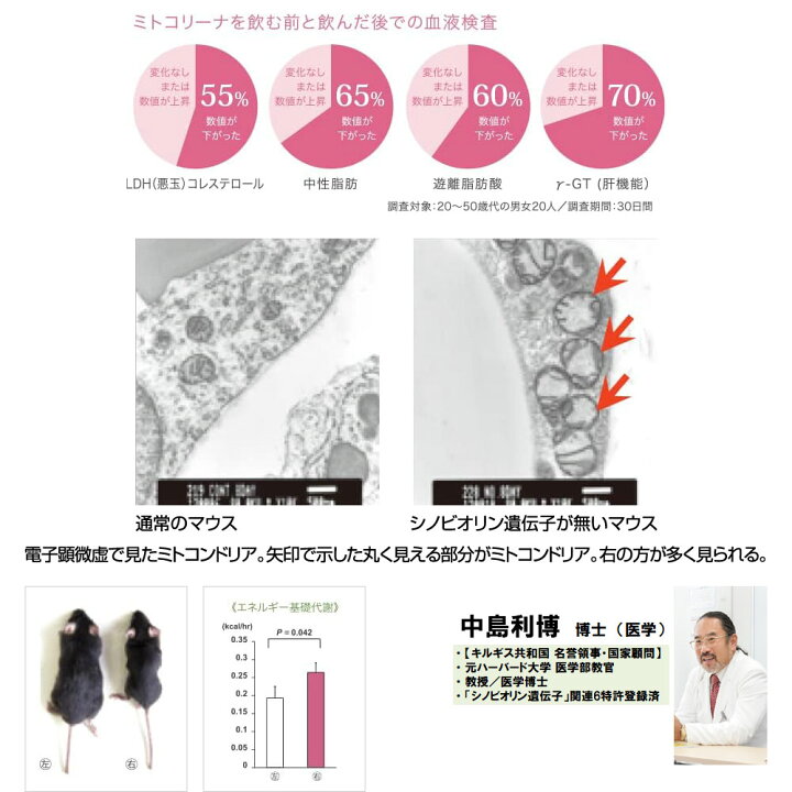 楽天市場】【ミトコリーナ 60粒入り（2粒×30包）×2箱セット】【あす楽 