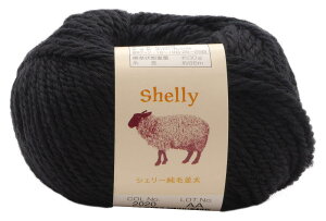 A(Motohiro) XL[ ҂ݖю VF[ѕ(10ʃZbg) Col.2020