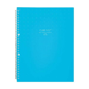 リヒトラブ ファイル クリヤーブック 交換式 A4 30穴 10枚ポケット CUBE FIZZ ブルー 不透明 N6482-8