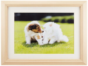 FUJICOLOR 額縁 M12 アクリル 木地 6切 木製 ベージュ 47021