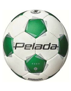 e(molten) y[_ 4000 TbJ[ TbJ[{[ 4 苅 F4K4000-WG