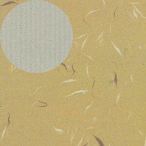 wCR[   ㎿  50 002401701