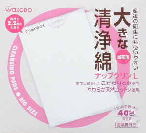 傫Ȑ ibvNL 40